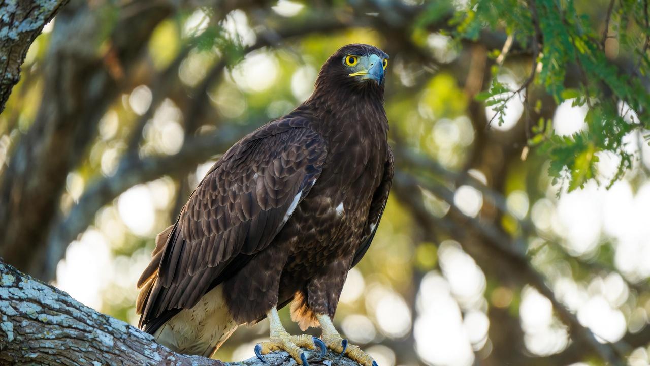 Cyber Risk & Compliance Advisory