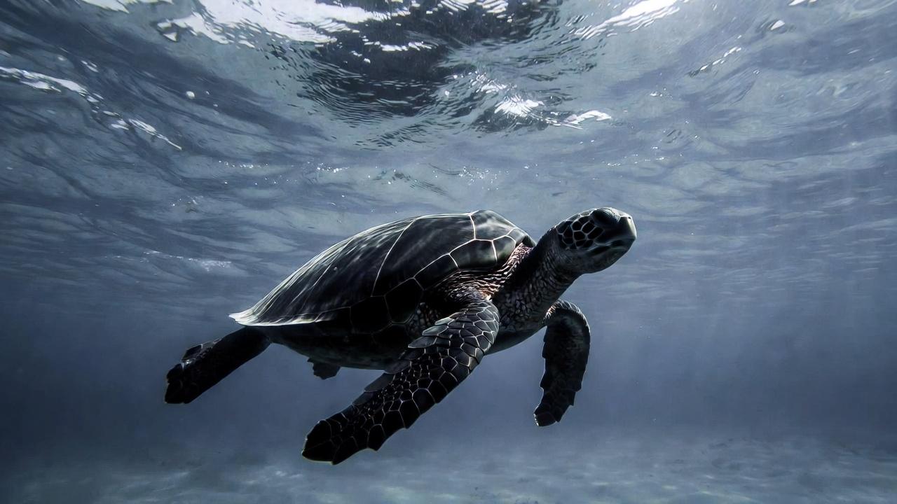 Privacy & Data Protection