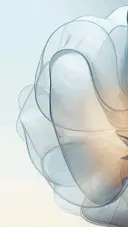 GDPR, PCI DSS, SOC 2 (Type I & II)