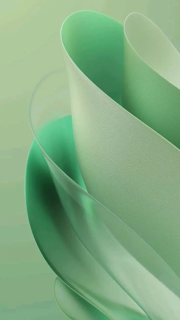 Vulnerability Management